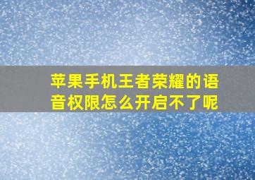 苹果手机王者荣耀的语音权限怎么开启不了呢