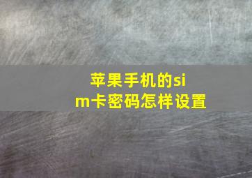 苹果手机的sim卡密码怎样设置