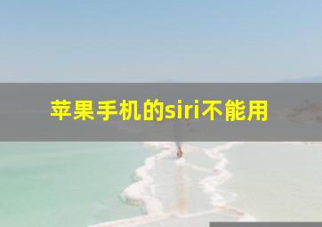 苹果手机的siri不能用