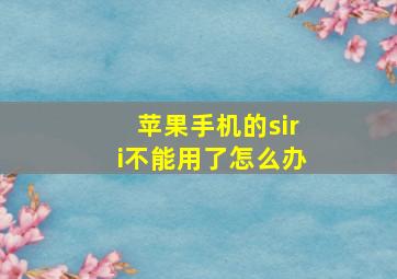 苹果手机的siri不能用了怎么办