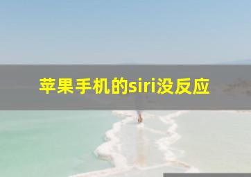 苹果手机的siri没反应