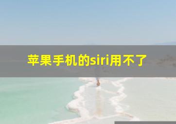 苹果手机的siri用不了