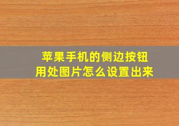 苹果手机的侧边按钮用处图片怎么设置出来