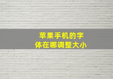 苹果手机的字体在哪调整大小