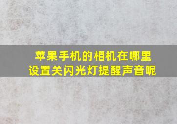 苹果手机的相机在哪里设置关闪光灯提醒声音呢