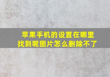 苹果手机的设置在哪里找到呢图片怎么删除不了