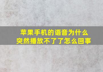 苹果手机的语音为什么突然播放不了了怎么回事