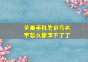 苹果手机的语音名字怎么修改不了了