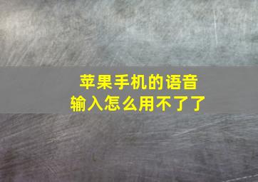 苹果手机的语音输入怎么用不了了