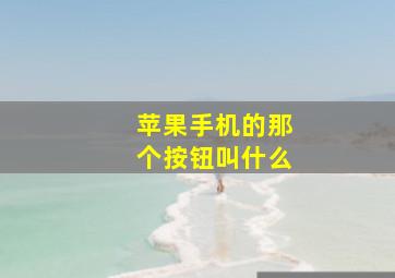 苹果手机的那个按钮叫什么