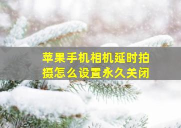 苹果手机相机延时拍摄怎么设置永久关闭