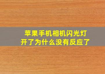 苹果手机相机闪光灯开了为什么没有反应了