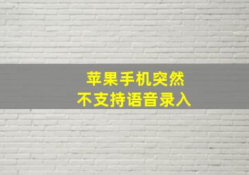 苹果手机突然不支持语音录入