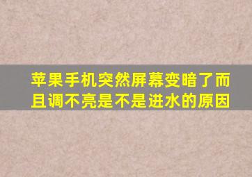 苹果手机突然屏幕变暗了而且调不亮是不是进水的原因