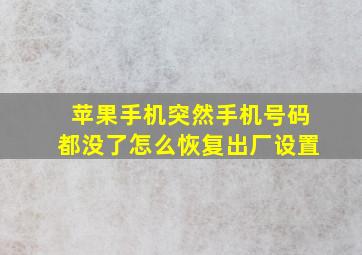 苹果手机突然手机号码都没了怎么恢复出厂设置