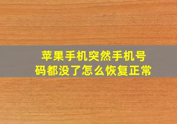 苹果手机突然手机号码都没了怎么恢复正常