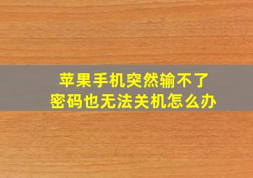 苹果手机突然输不了密码也无法关机怎么办