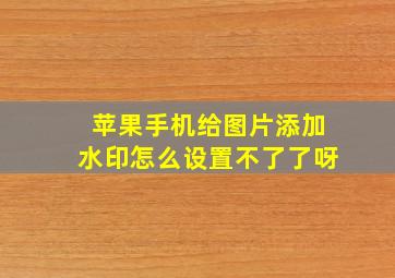 苹果手机给图片添加水印怎么设置不了了呀