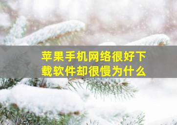 苹果手机网络很好下载软件却很慢为什么