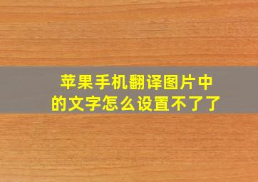 苹果手机翻译图片中的文字怎么设置不了了