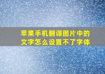 苹果手机翻译图片中的文字怎么设置不了字体