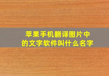 苹果手机翻译图片中的文字软件叫什么名字