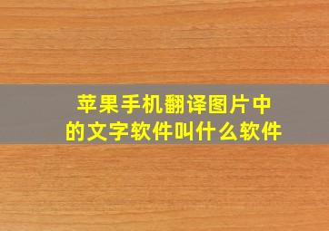 苹果手机翻译图片中的文字软件叫什么软件