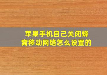 苹果手机自己关闭蜂窝移动网络怎么设置的