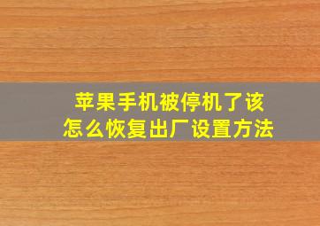 苹果手机被停机了该怎么恢复出厂设置方法