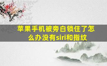 苹果手机被旁白锁住了怎么办没有siri和指纹