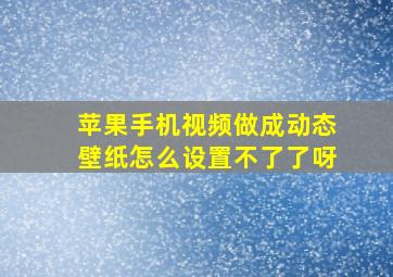 苹果手机视频做成动态壁纸怎么设置不了了呀