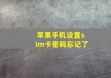 苹果手机设置sim卡密码忘记了