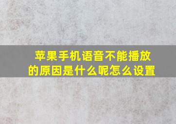 苹果手机语音不能播放的原因是什么呢怎么设置