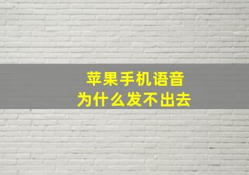 苹果手机语音为什么发不出去