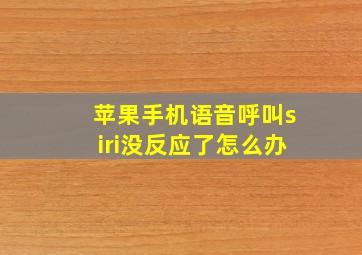 苹果手机语音呼叫siri没反应了怎么办