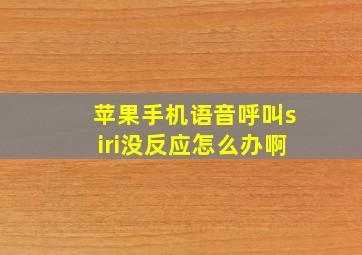 苹果手机语音呼叫siri没反应怎么办啊