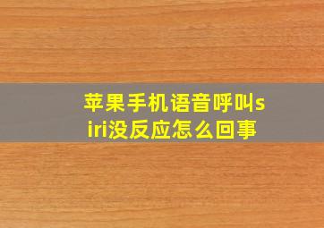 苹果手机语音呼叫siri没反应怎么回事