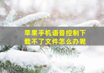 苹果手机语音控制下载不了文件怎么办呢