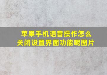 苹果手机语音操作怎么关闭设置界面功能呢图片