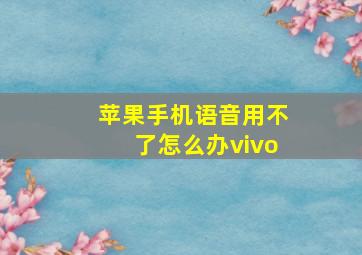 苹果手机语音用不了怎么办vivo