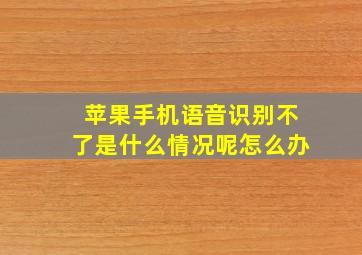 苹果手机语音识别不了是什么情况呢怎么办