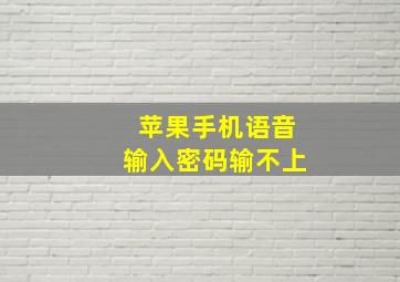 苹果手机语音输入密码输不上