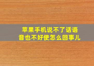 苹果手机说不了话语音也不好使怎么回事儿