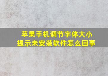 苹果手机调节字体大小提示未安装软件怎么回事