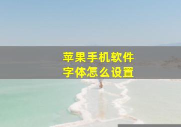 苹果手机软件字体怎么设置