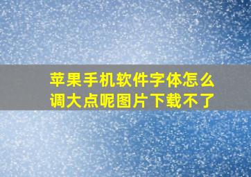 苹果手机软件字体怎么调大点呢图片下载不了