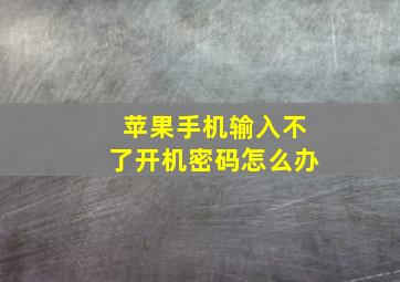 苹果手机输入不了开机密码怎么办