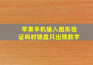 苹果手机输入图形验证码时键盘只出现数字