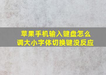 苹果手机输入键盘怎么调大小字体切换键没反应