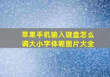 苹果手机输入键盘怎么调大小字体呢图片大全